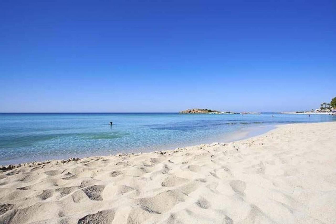 Nissi Golden Sands Free Wifi Lejlighed Ayia Napa