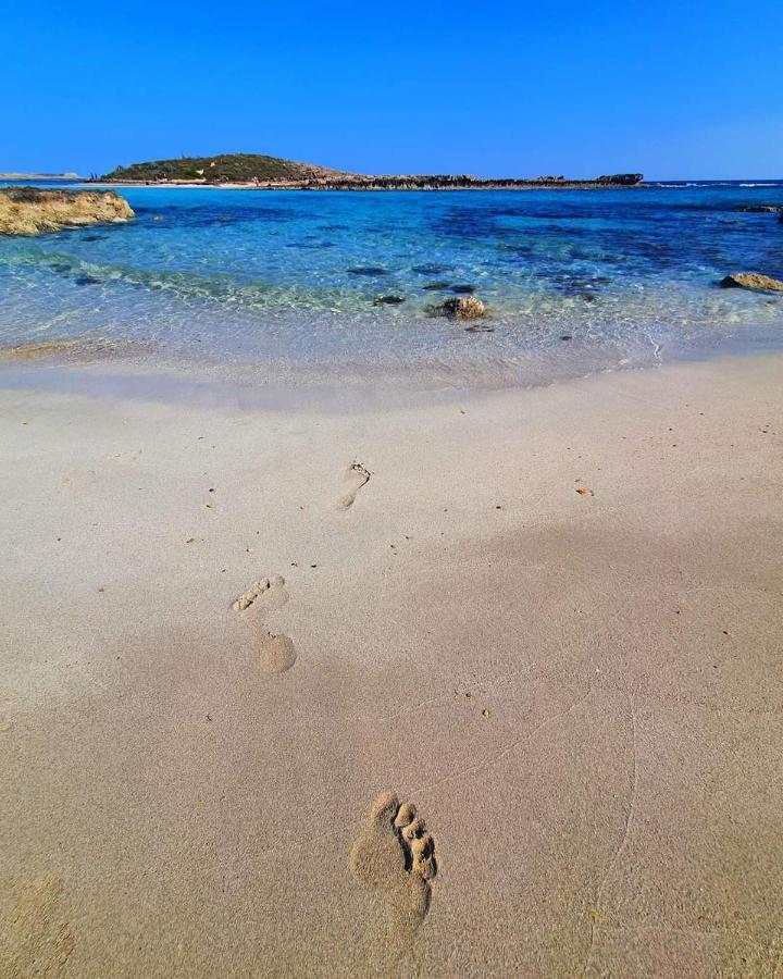 Nissi Golden Sands Free Wifi Lejlighed