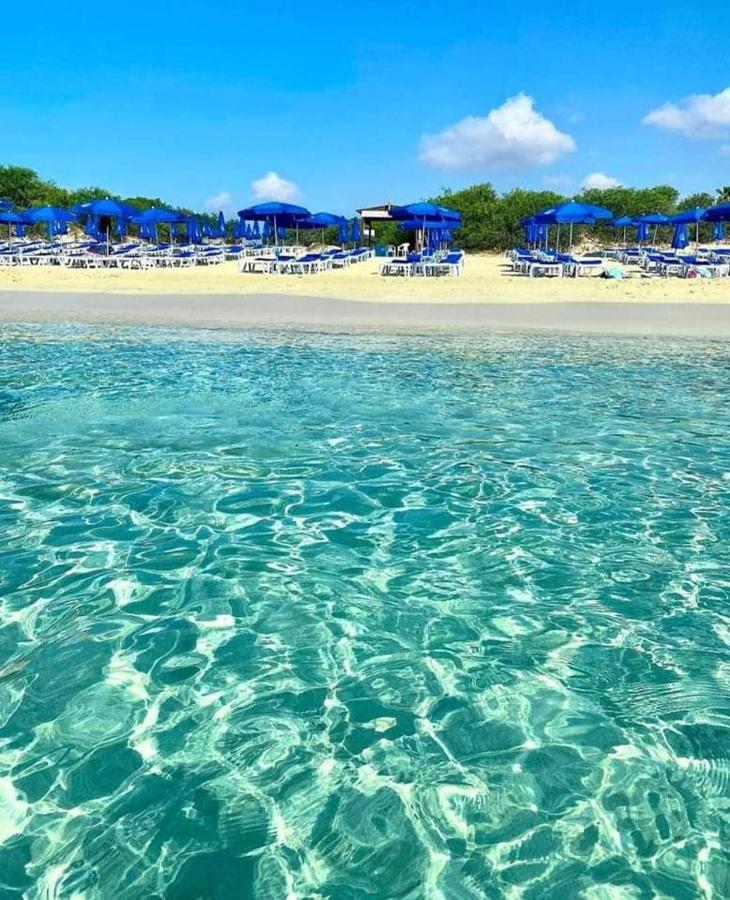 Nissi Golden Sands Free Wifi Lejlighed *