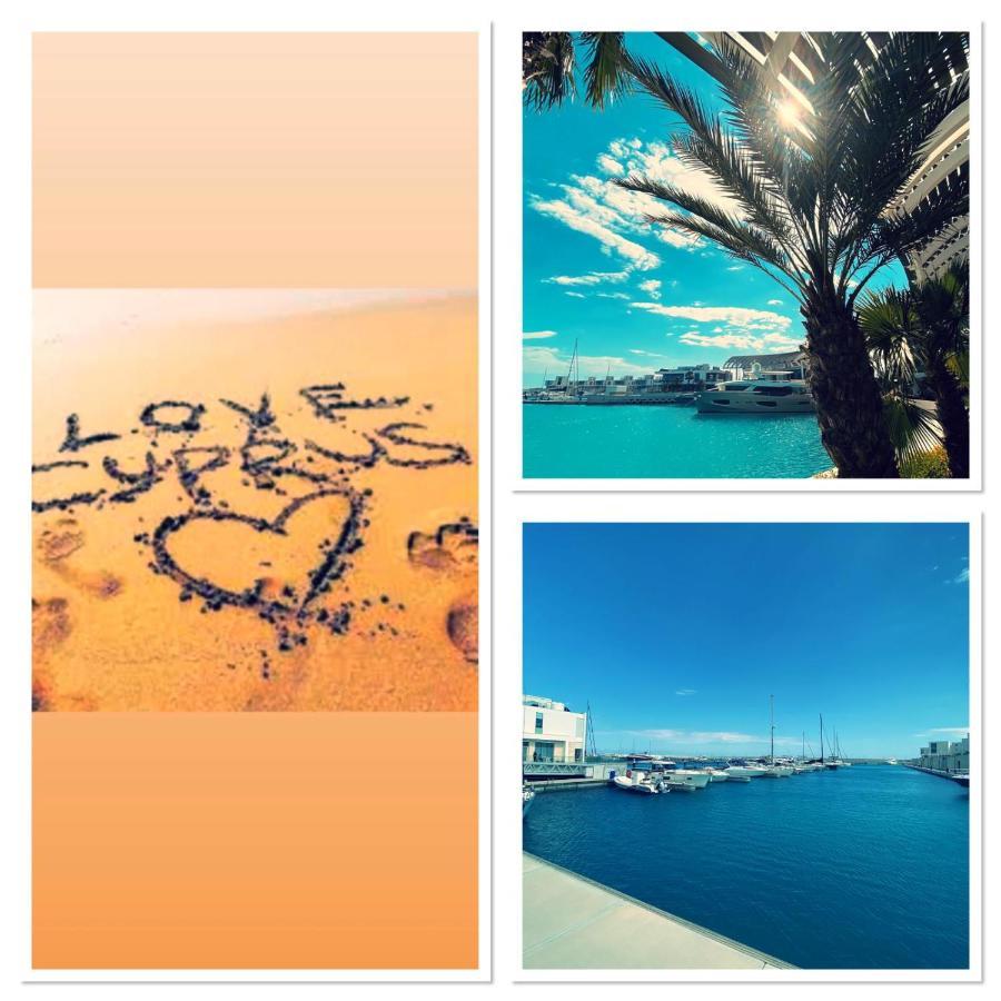 Nissi Golden Sands Free Wifi Lejlighed